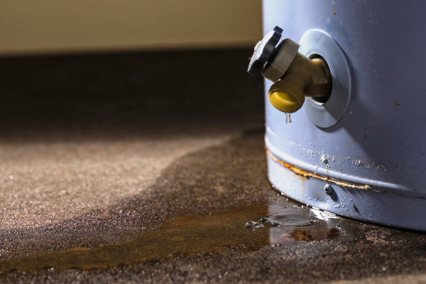 Sewage cleanup and water damage restoration in Coyne Center, IL