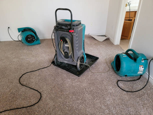 Best Water damage restoration experts  in Coyne Center, IL
