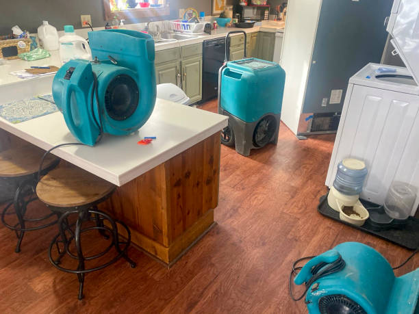 Water damage restoration experts in Coyne Center, IL
