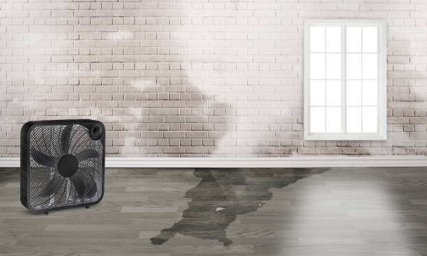 Water damage restoration experts in Coyne Center, IL