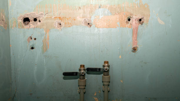 Water damage restoration insurance claims in Coyne Center, IL