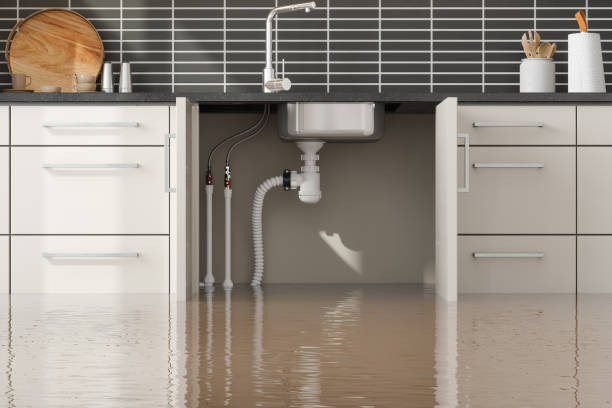 Best 24-hour water damage restoration  in Coyne Center, IL