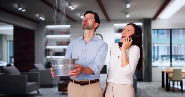 Best Fire Damage Restoration  in Coyne Center, IL