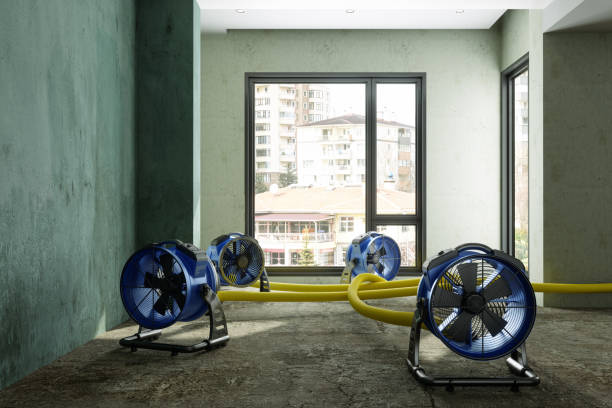 Best Residential water damage restoration  in Coyne Center, IL