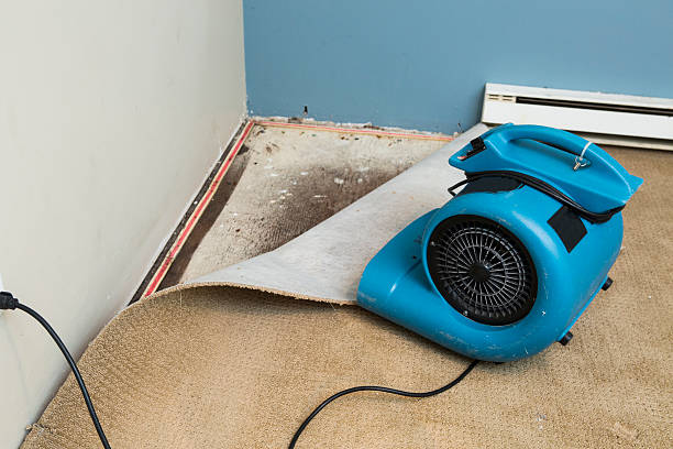 Local water damage restoration in Coyne Center, IL